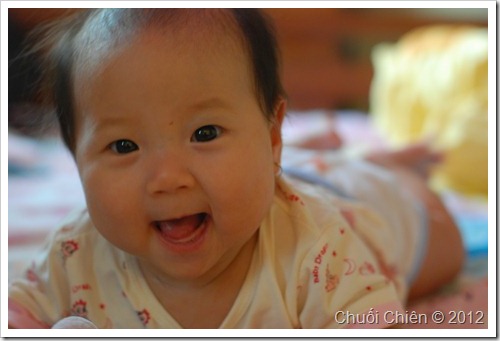 DSC_9451 DSC_9451